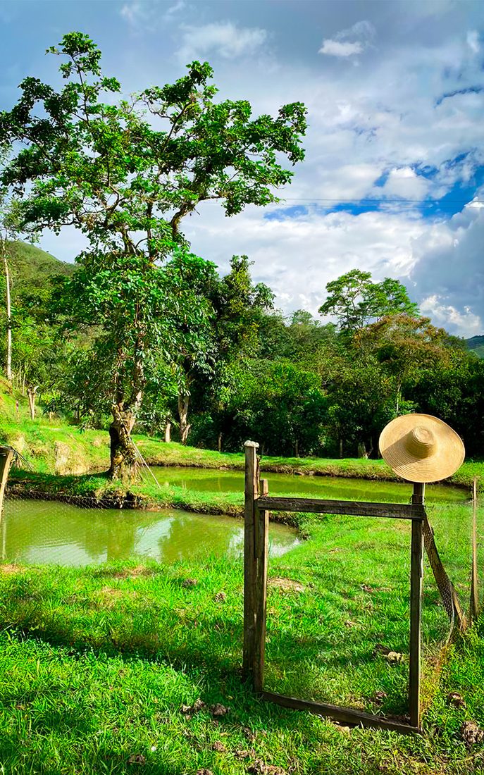 Casa Campestre Villa Rosita